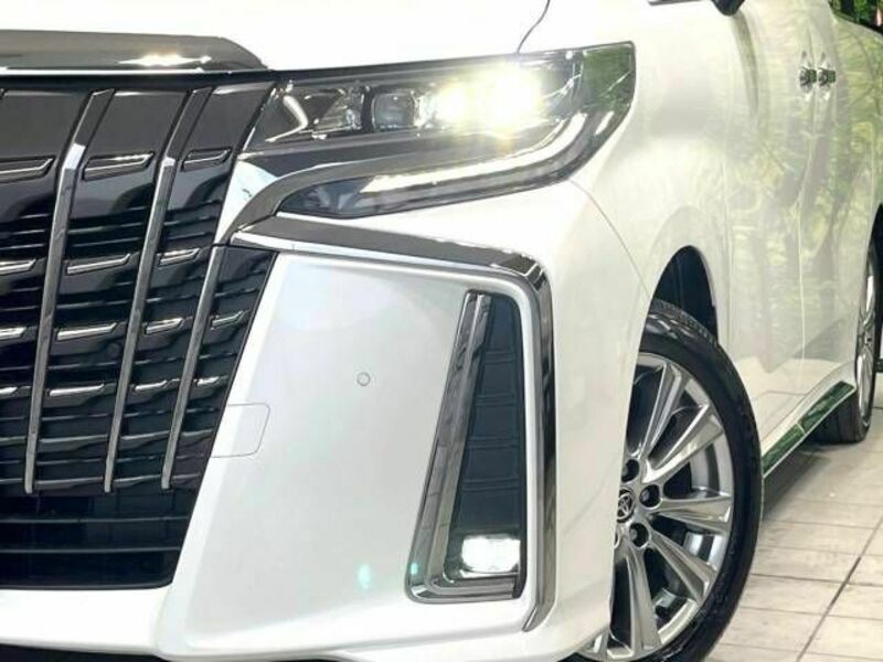 ALPHARD-12