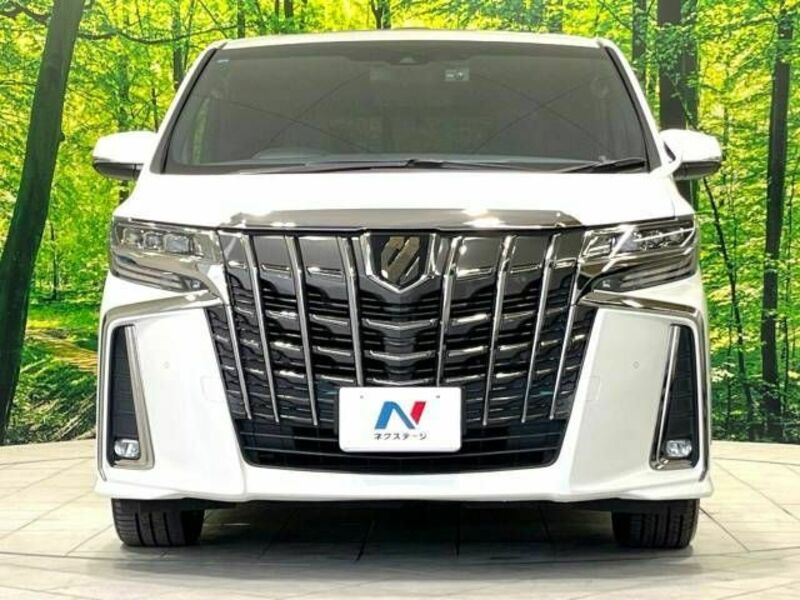 ALPHARD-14