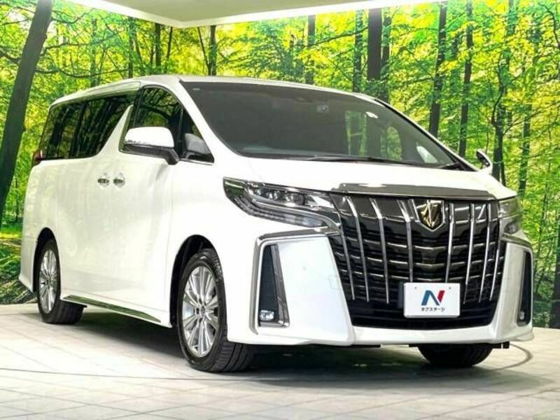 ALPHARD-16