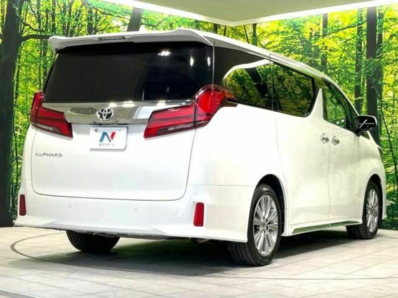 ALPHARD-17