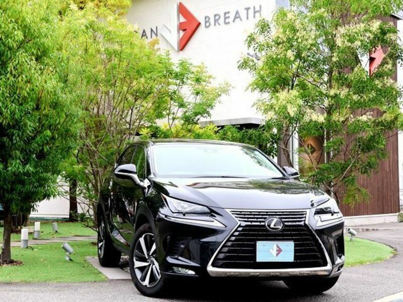 LEXUS　NX