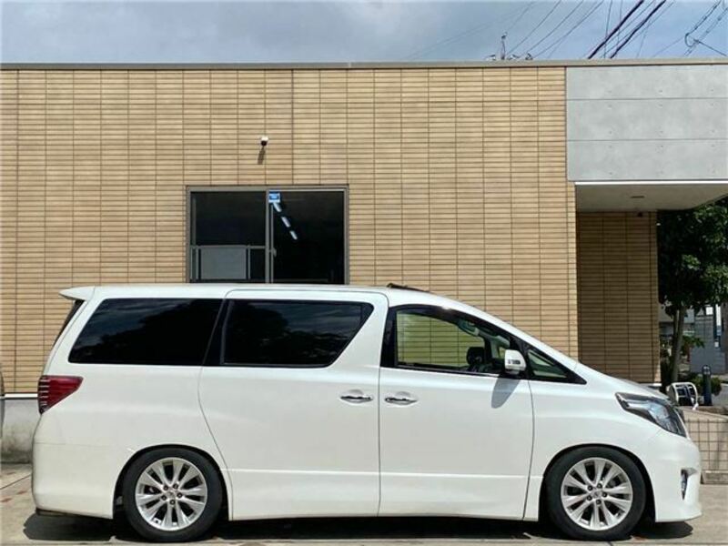 ALPHARD-31