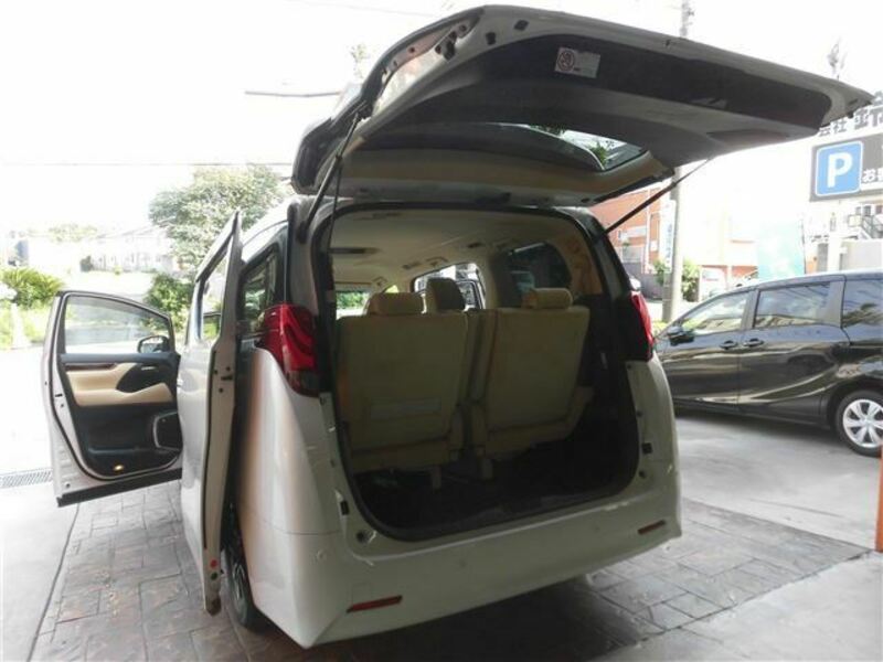 ALPHARD-16