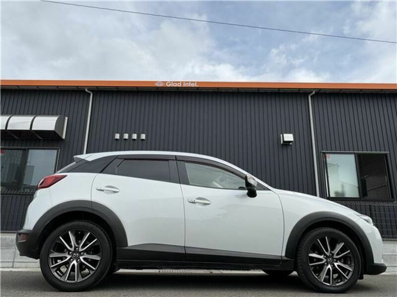 CX-3-31