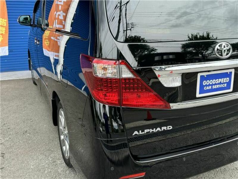 ALPHARD-18