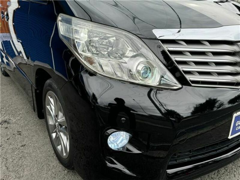 ALPHARD-24