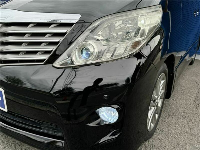 ALPHARD-25