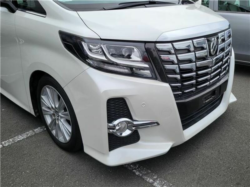 ALPHARD-3