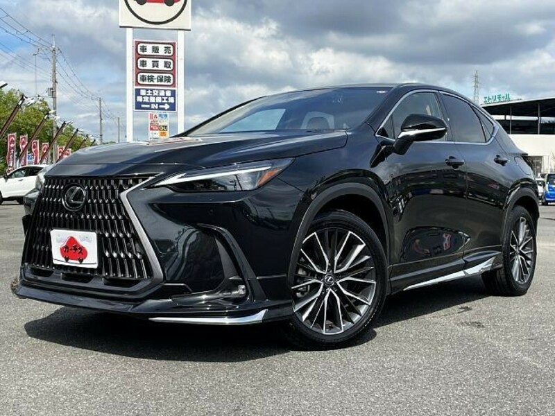 LEXUS　NX