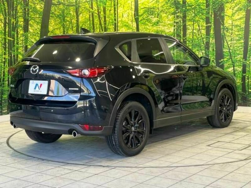 CX-5-17