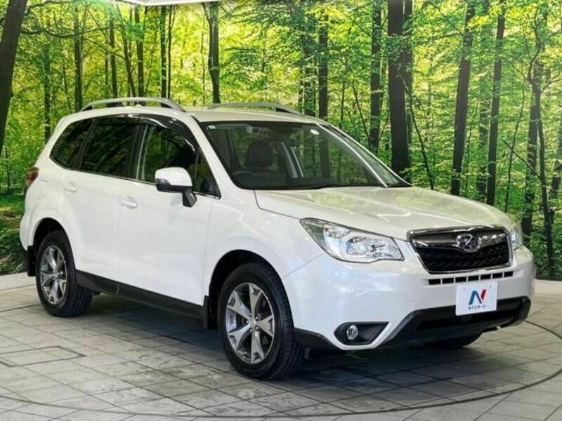 FORESTER-16