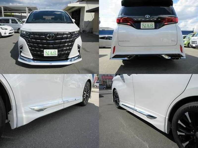 ALPHARD-19