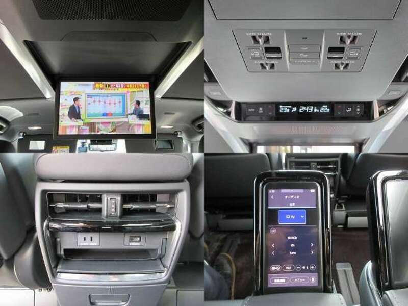 ALPHARD-14