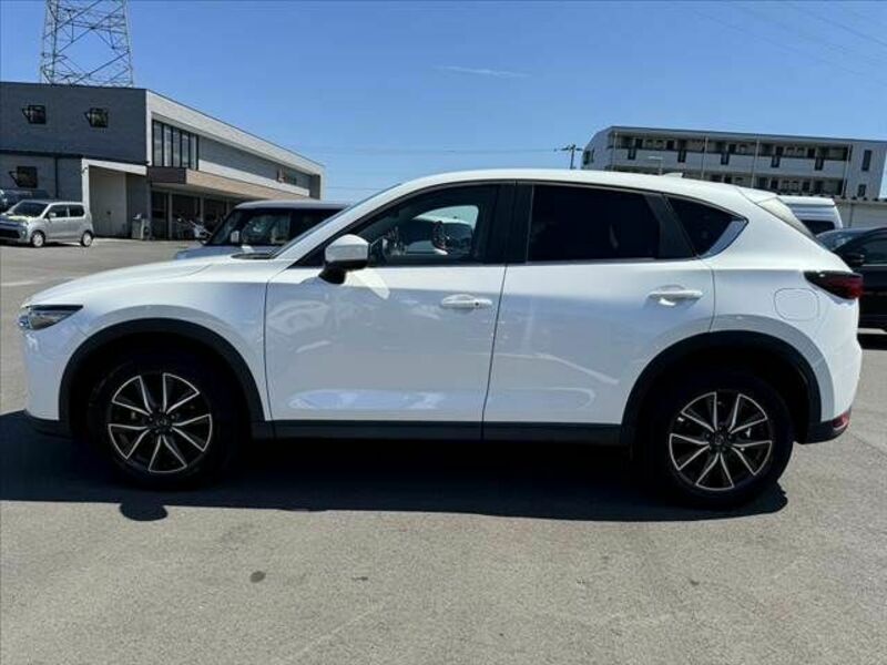 CX-5-11