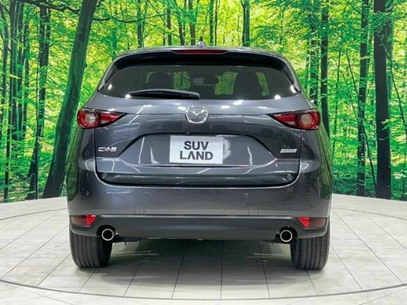 CX-5-15