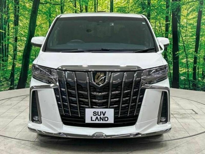 ALPHARD-14