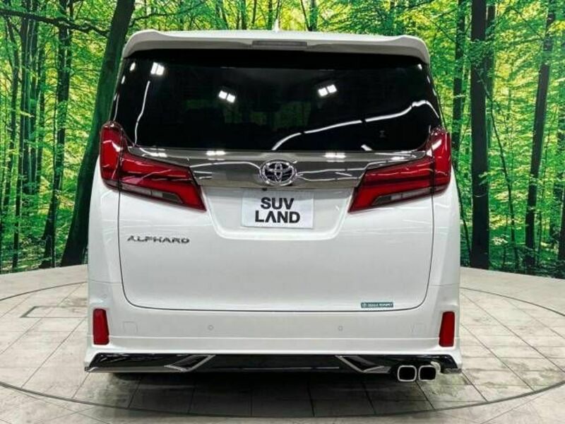 ALPHARD-15