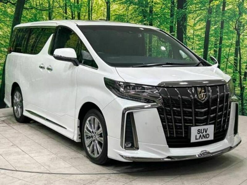 ALPHARD-16