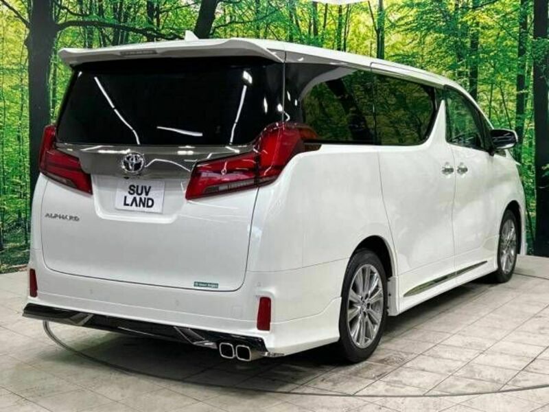 ALPHARD-17