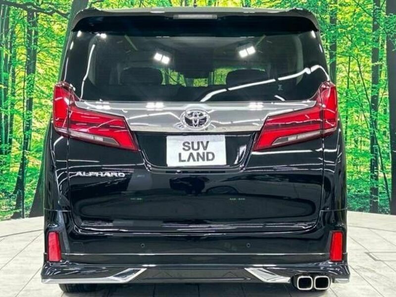 ALPHARD-17