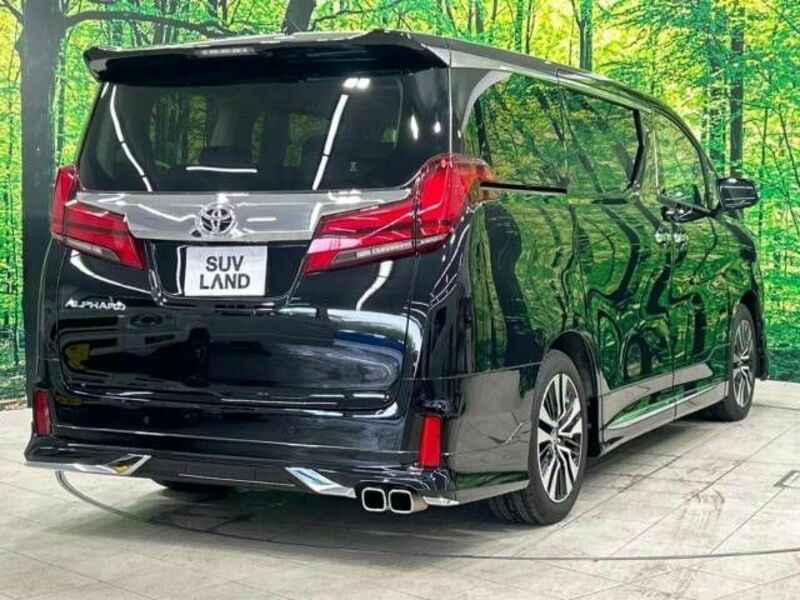 ALPHARD-19