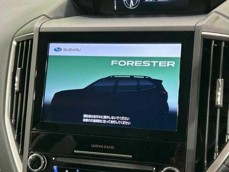 FORESTER-2