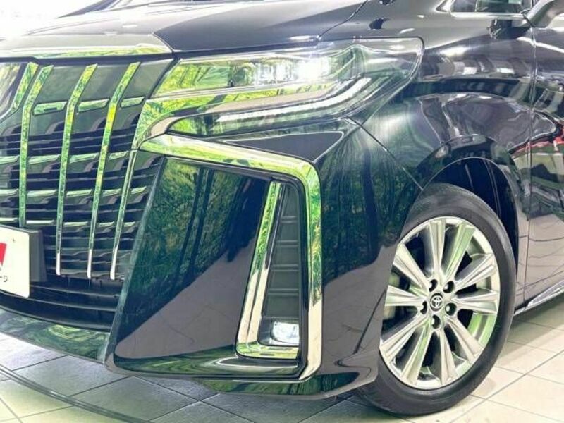 ALPHARD-12