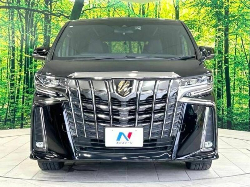 ALPHARD-15