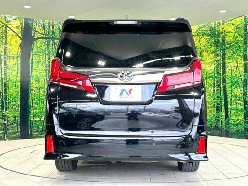 ALPHARD-16