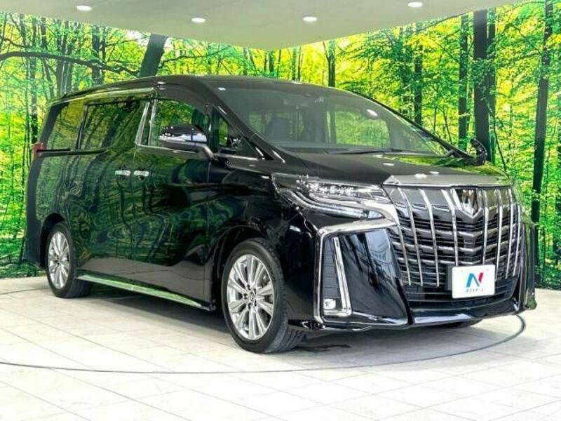 ALPHARD-17