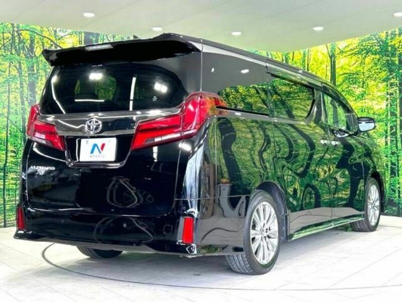 ALPHARD-18