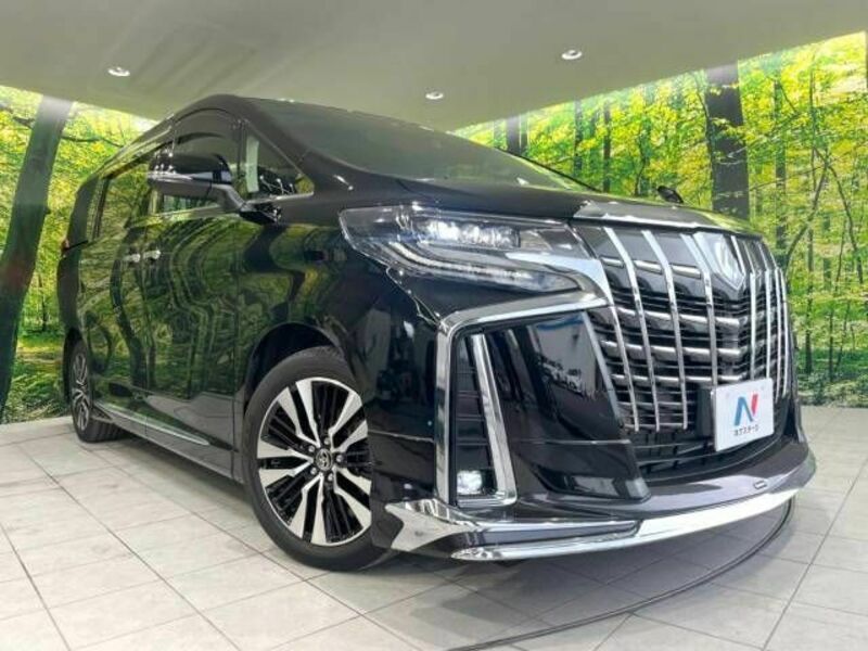 ALPHARD-12