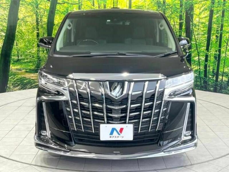 ALPHARD-14