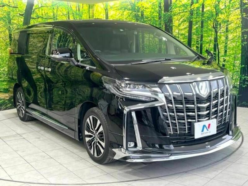 ALPHARD-16