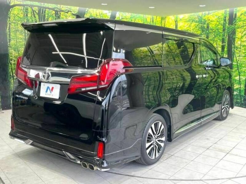 ALPHARD-17