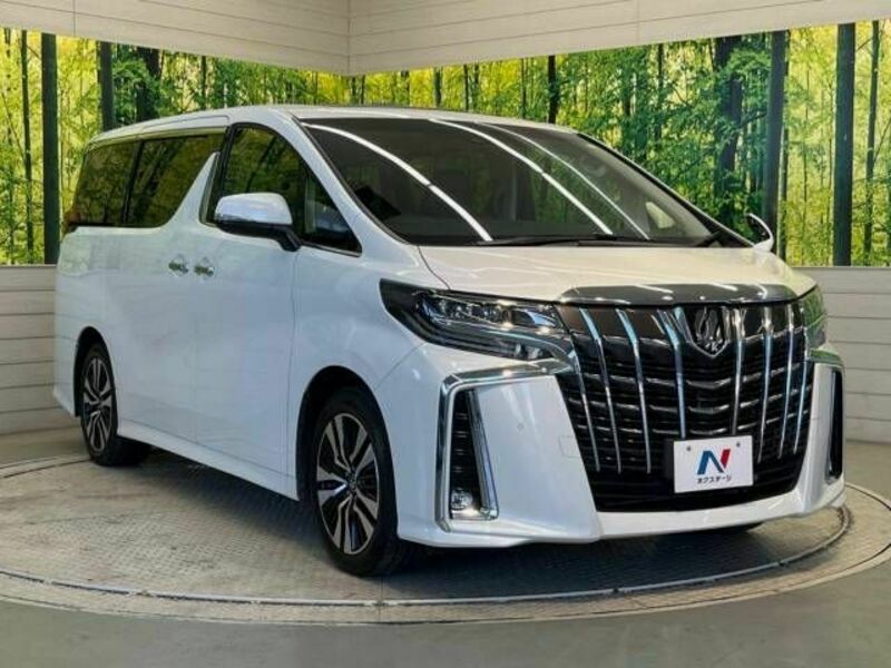 ALPHARD-17