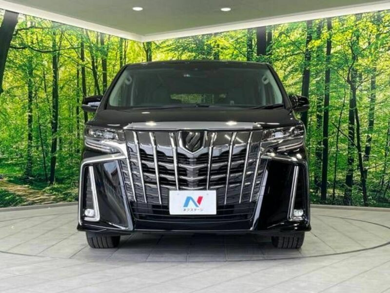 ALPHARD-15