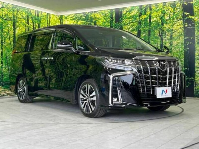 ALPHARD-17