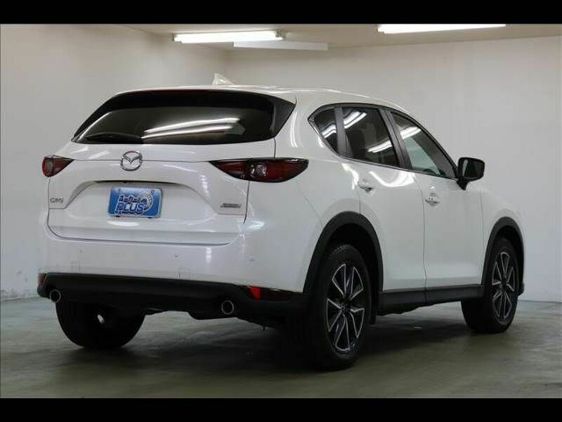 CX-5-18