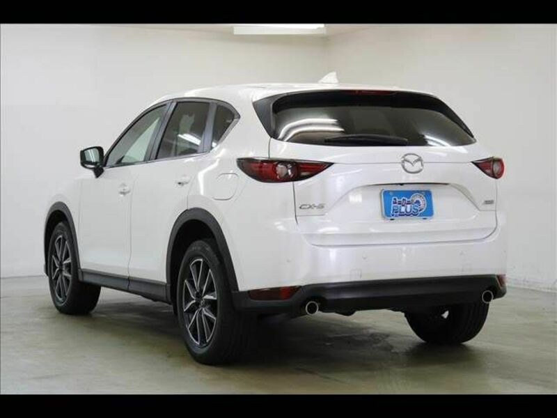 CX-5-19