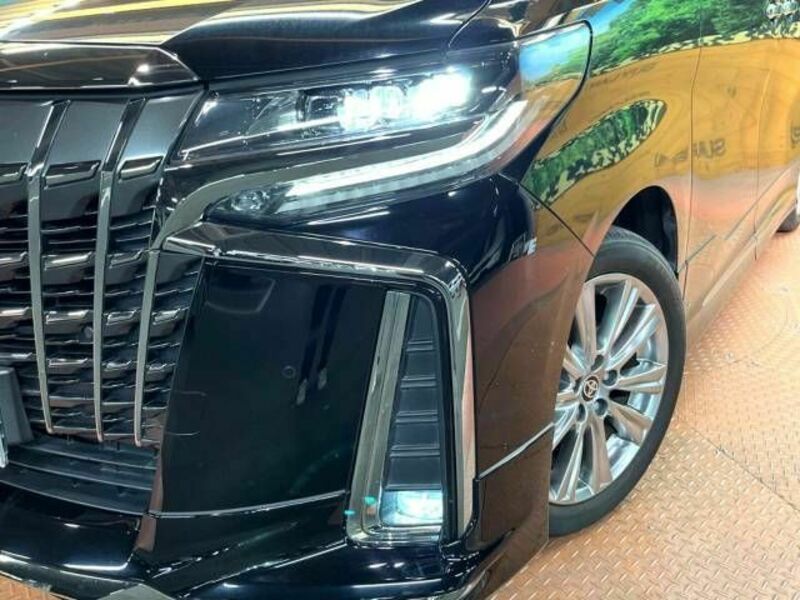 ALPHARD-15