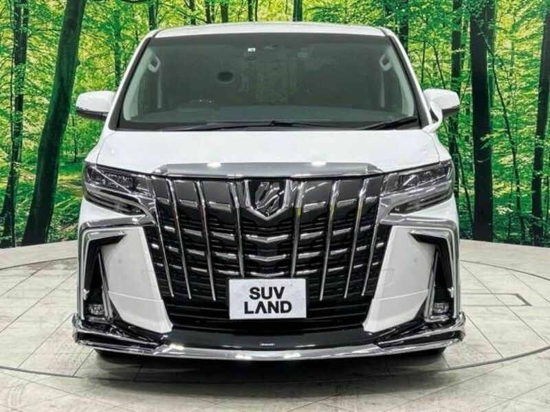 ALPHARD-14