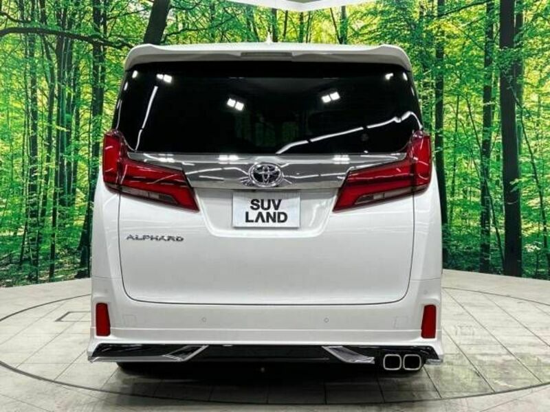 ALPHARD-15