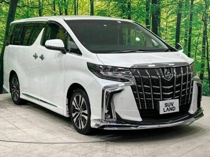 ALPHARD-16