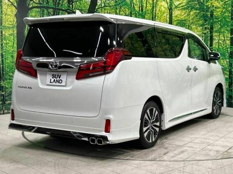 ALPHARD-17