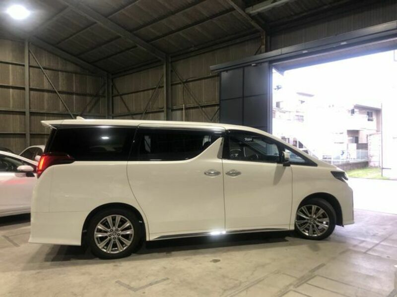 ALPHARD-16