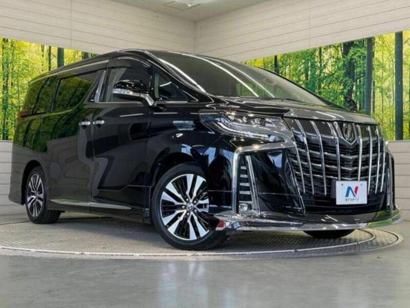 ALPHARD-16