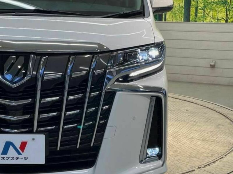 ALPHARD-12