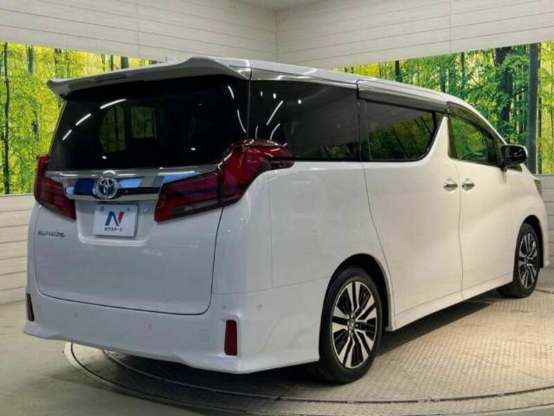 ALPHARD-17