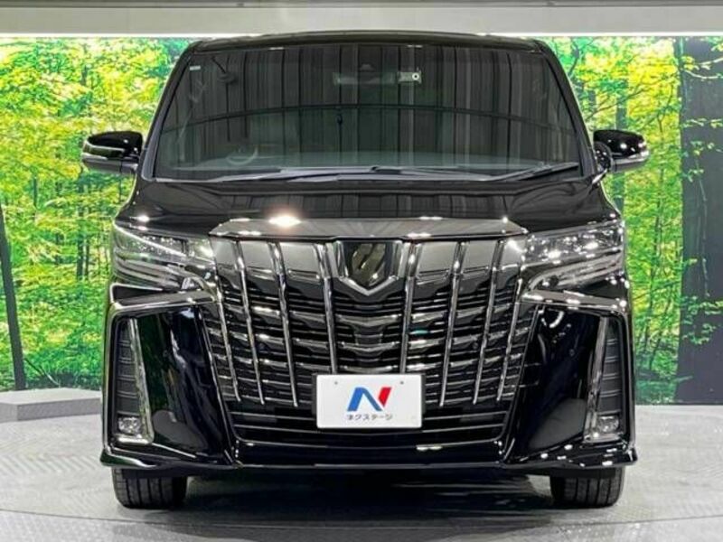 ALPHARD-15